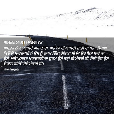 Picture 02 - ਅਸਤਰ 2:20 PANIRV - ਅਸਤਰ ਨੇ ਨਾ ਆਪਣੇ - Bible Verse Picture