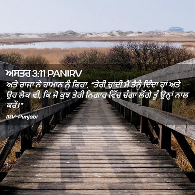 Picture 02 - ਅਸਤਰ 3:11 PANIRV - ਅਤੇ ਰਾਜਾ ਨੇ ਹਾਮਾਨ - Bible Verse Picture