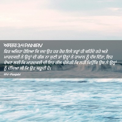 Picture 02 - ਅਸਤਰ 3:4 PANIRV - ਫਿਰ ਅਜਿਹਾ ਹੋਇਆ ਕਿ - Bible Verse Picture