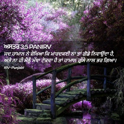 Picture 02 - ਅਸਤਰ 3:5 PANIRV - ਜਦ ਹਾਮਾਨ ਨੇ ਵੇਖਿਆ - Bible Verse Picture