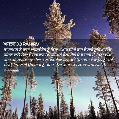 Picture 02 - ਅਸਤਰ 3:8 PANIRV - ਤਾਂ ਹਾਮਾਨ ਨੇ ਰਾਜਾ - Bible Verse Picture
