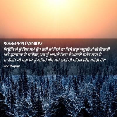 Picture 02 - ਅਸਤਰ 4:14 PANIRV - ਕਿਉਂਕਿ ਜੇ ਤੂੰ ਇਸ - Bible Verse Picture
