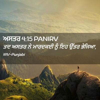 Picture 02 - ਅਸਤਰ 4:15 PANIRV - ਤਦ ਅਸਤਰ ਨੇ ਮਾਰਦਕਈ - Bible Verse Picture