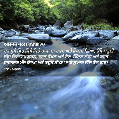 Picture 02 - ਅਸਤਰ 4:3 PANIRV - ਹਰ ਸੂਬੇ ਵਿੱਚ ਜਿੱਥੇ - Bible Verse Picture