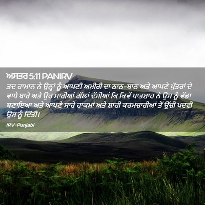 Picture 02 - ਅਸਤਰ 5:11 PANIRV - ਤਦ ਹਾਮਾਨ ਨੇ ਉਨ੍ਹਾਂ - Bible Verse Picture