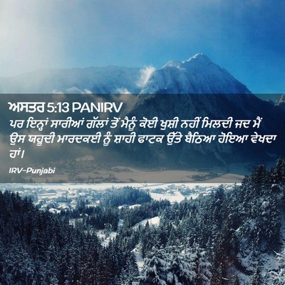 Picture 02 - ਅਸਤਰ 5:13 PANIRV - ਪਰ ਇਨ੍ਹਾਂ ਸਾਰੀਆਂ - Bible Verse Picture