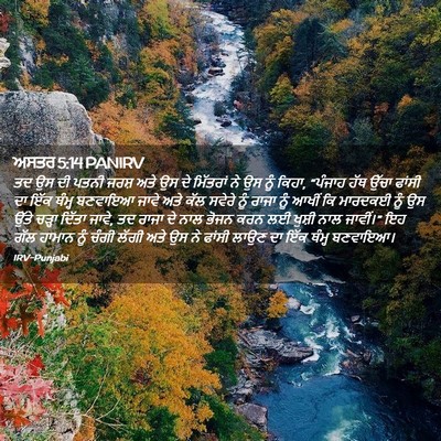 Picture 02 - ਅਸਤਰ 5:14 PANIRV - ਤਦ ਉਸ ਦੀ ਪਤਨੀ ਜਰਸ਼ - Bible Verse Picture