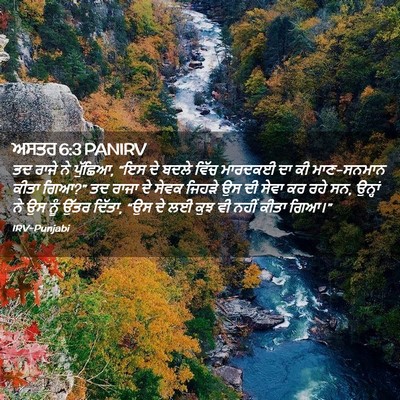 Picture 02 - ਅਸਤਰ 6:3 PANIRV - ਤਦ ਰਾਜੇ ਨੇ ਪੁੱਛਿਆ, - Bible Verse Picture