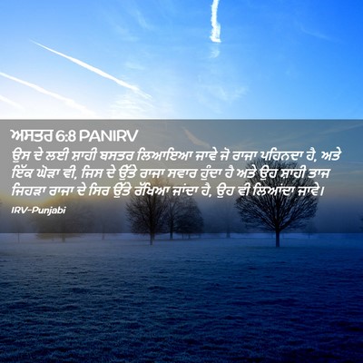 Picture 02 - ਅਸਤਰ 6:8 PANIRV - ਉਸ ਦੇ ਲਈ ਸ਼ਾਹੀ ਬਸਤਰ - Bible Verse Picture