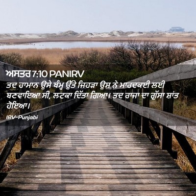 Picture 02 - ਅਸਤਰ 7:10 PANIRV - ਤਦ ਹਾਮਾਨ ਉਸੇ ਥੰਮ੍ਹ - Bible Verse Picture