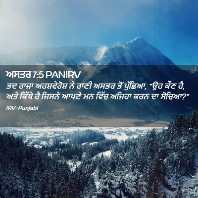 Picture 02 - ਅਸਤਰ 7:5 PANIRV - ਤਦ ਰਾਜਾ - Bible Verse Picture