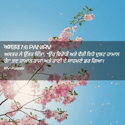Picture 02 - ਅਸਤਰ 7:6 PANIRV - ਅਸਤਰ ਨੇ ਉੱਤਰ ਦਿੱਤਾ, - Bible Verse Picture