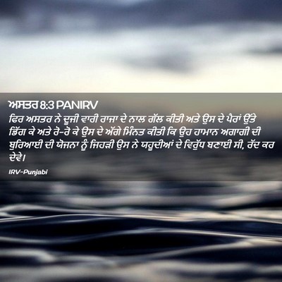 Picture 02 - ਅਸਤਰ 8:3 PANIRV - ਫਿਰ ਅਸਤਰ ਨੇ ਦੂਜੀ - Bible Verse Picture