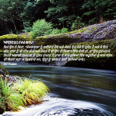 Picture 02 - ਅਸਤਰ 8:5 PANIRV - ਫਿਰ ਉਸ ਨੇ ਕਿਹਾ, - Bible Verse Picture