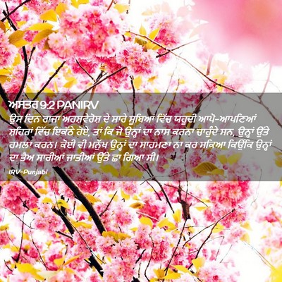 Picture 02 - ਅਸਤਰ 9:2 PANIRV - ਉਸ ਦਿਨ ਰਾਜਾ - Bible Verse Picture
