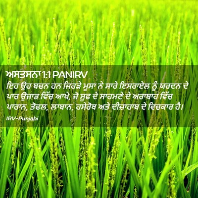 Picture 02 - ਅਸਤਸਨਾ 1:1 PANIRV - ਇਹ ਉਹ ਬਚਨ ਹਨ ਜਿਹੜੇ - Bible Verse Picture