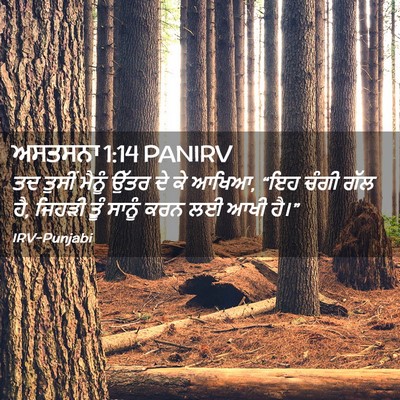 Picture 02 - ਅਸਤਸਨਾ 1:14 PANIRV - ਤਦ ਤੁਸੀਂ ਮੈਨੂੰ - Bible Verse Picture