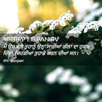 Picture 02 - ਅਸਤਸਨਾ 1:18 PANIRV - ਮੈਂ ਉਸ ਵੇਲੇ - Bible Verse Picture