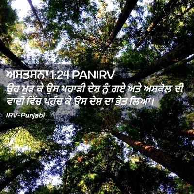Picture 02 - ਅਸਤਸਨਾ 1:24 PANIRV - ਉਹ ਮੁੜ ਕੇ ਉਸ ਪਹਾੜੀ - Bible Verse Picture