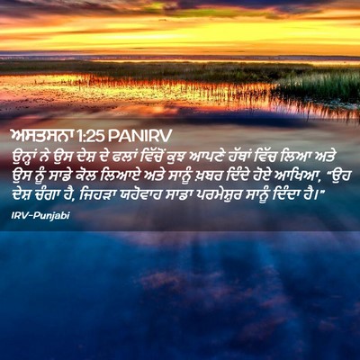 Picture 02 - ਅਸਤਸਨਾ 1:25 PANIRV - ਉਨ੍ਹਾਂ ਨੇ ਉਸ ਦੇਸ਼ - Bible Verse Picture