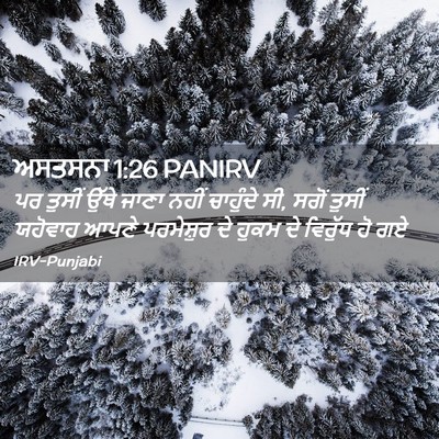 Picture 02 - ਅਸਤਸਨਾ 1:26 PANIRV - ਪਰ ਤੁਸੀਂ ਉੱਥੇ ਜਾਣਾ - Bible Verse Picture