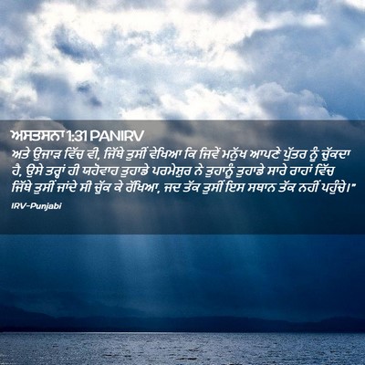 Picture 02 - ਅਸਤਸਨਾ 1:31 PANIRV - ਅਤੇ ਉਜਾੜ ਵਿੱਚ ਵੀ, - Bible Verse Picture