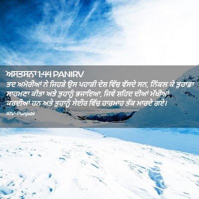 Picture 02 - ਅਸਤਸਨਾ 1:44 PANIRV - ਤਦ ਅਮੋਰੀਆਂ ਨੇ - Bible Verse Picture