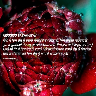 Picture 02 - ਅਸਤਸਨਾ 1:8 PANIRV - ਵੇਖੋ, ਮੈਂ ਇਸ ਦੇਸ਼ - Bible Verse Picture