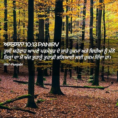 Picture 02 - ਅਸਤਸਨਾ 10:13 PANIRV - ਤੁਸੀਂ ਯਹੋਵਾਹ ਆਪਣੇ - Bible Verse Picture