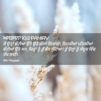 Picture 02 - ਅਸਤਸਨਾ 10:2 PANIRV - ਮੈਂ ਉਨ੍ਹਾਂ ਫੱਟੀਆਂ - Bible Verse Picture
