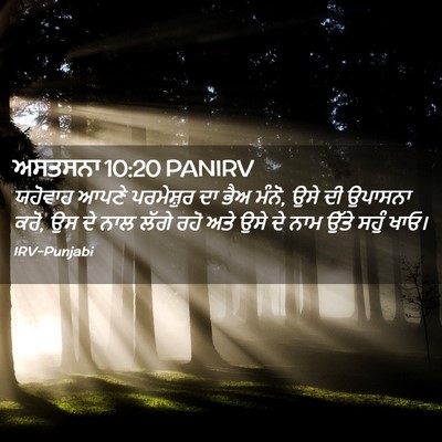 Picture 02 - ਅਸਤਸਨਾ 10:20 PANIRV - ਯਹੋਵਾਹ ਆਪਣੇ - Bible Verse Picture