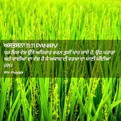 Picture 02 - ਅਸਤਸਨਾ 11:11 PANIRV - ਪਰ ਜਿਸ ਦੇਸ਼ ਉੱਤੇ - Bible Verse Picture