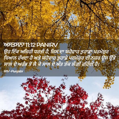 Picture 02 - ਅਸਤਸਨਾ 11:12 PANIRV - ਉਹ ਇੱਕ ਅਜਿਹੀ ਧਰਤੀ - Bible Verse Picture