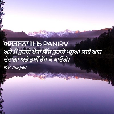 Picture 02 - ਅਸਤਸਨਾ 11:15 PANIRV - ਅਤੇ ਮੈਂ ਤੁਹਾਡੇ - Bible Verse Picture