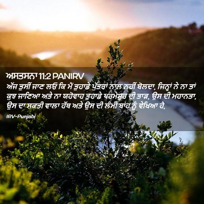 Picture 02 - ਅਸਤਸਨਾ 11:2 PANIRV - ਅੱਜ ਤੁਸੀਂ ਜਾਣ ਲਓ ਕਿ - Bible Verse Picture
