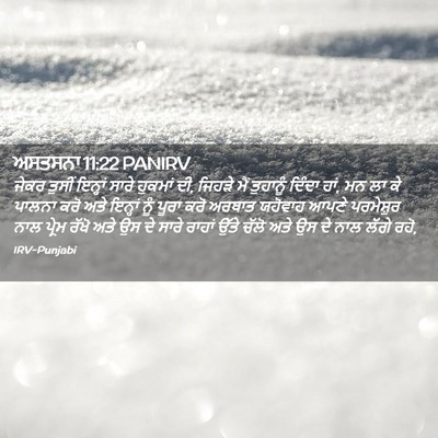 Picture 02 - ਅਸਤਸਨਾ 11:22 PANIRV - ਜੇਕਰ ਤੁਸੀਂ ਇਨ੍ਹਾਂ - Bible Verse Picture