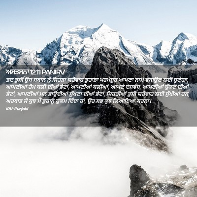 Picture 02 - ਅਸਤਸਨਾ 12:11 PANIRV - ਤਦ ਤੁਸੀਂ ਉਸ ਸਥਾਨ - Bible Verse Picture