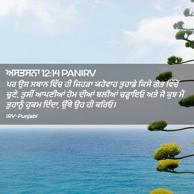 Picture 02 - ਅਸਤਸਨਾ 12:14 PANIRV - ਪਰ ਉਸ ਸਥਾਨ ਵਿੱਚ ਹੀ - Bible Verse Picture