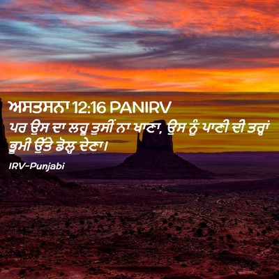Picture 02 - ਅਸਤਸਨਾ 12:16 PANIRV - ਪਰ ਉਸ ਦਾ ਲਹੂ ਤੁਸੀਂ - Bible Verse Picture