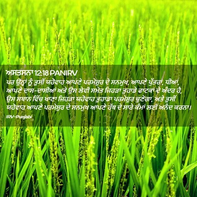 Picture 02 - ਅਸਤਸਨਾ 12:18 PANIRV - ਪਰ ਉਨ੍ਹਾਂ ਨੂੰ - Bible Verse Picture
