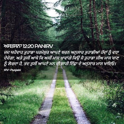 Picture 02 - ਅਸਤਸਨਾ 12:20 PANIRV - ਜਦ ਯਹੋਵਾਹ ਤੁਹਾਡਾ - Bible Verse Picture