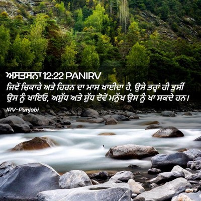 Picture 02 - ਅਸਤਸਨਾ 12:22 PANIRV - ਜਿਵੇਂ ਚਿਕਾਰੇ ਅਤੇ - Bible Verse Picture