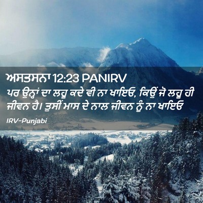 Picture 02 - ਅਸਤਸਨਾ 12:23 PANIRV - ਪਰ ਉਨ੍ਹਾਂ ਦਾ ਲਹੂ - Bible Verse Picture