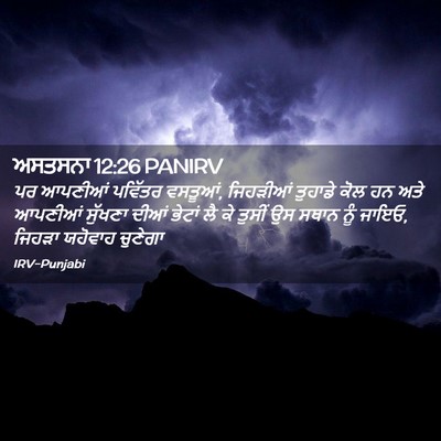 Picture 02 - ਅਸਤਸਨਾ 12:26 PANIRV - ਪਰ ਆਪਣੀਆਂ ਪਵਿੱਤਰ - Bible Verse Picture
