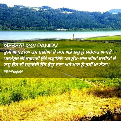 Picture 02 - ਅਸਤਸਨਾ 12:27 PANIRV - ਤੁਸੀਂ ਆਪਣੀਆਂ ਹੋਮ - Bible Verse Picture