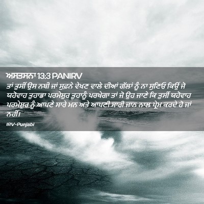 Picture 02 - ਅਸਤਸਨਾ 13:3 PANIRV - ਤਾਂ ਤੁਸੀਂ ਉਸ ਨਬੀ - Bible Verse Picture