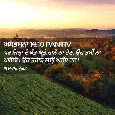 Picture 02 - ਅਸਤਸਨਾ 14:10 PANIRV - ਪਰ ਜਿਨ੍ਹਾਂ ਦੇ ਖੰਭ - Bible Verse Picture