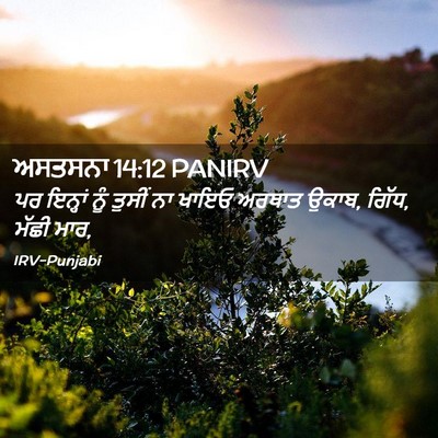 Picture 02 - ਅਸਤਸਨਾ 14:12 PANIRV - ਪਰ ਇਨ੍ਹਾਂ ਨੂੰ - Bible Verse Picture