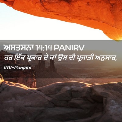 Picture 02 - ਅਸਤਸਨਾ 14:14 PANIRV - ਹਰ ਇੱਕ ਪ੍ਰਕਾਰ ਦੇ - Bible Verse Picture