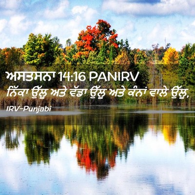 Picture 02 - ਅਸਤਸਨਾ 14:16 PANIRV - ਨਿੱਕਾ ਉੱਲੂ ਅਤੇ - Bible Verse Picture